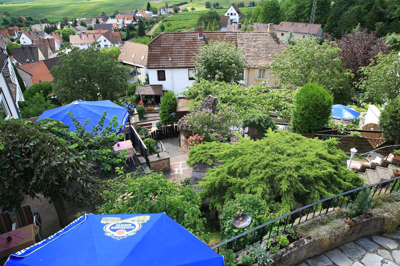 Pension Weinberg Mit Landhaus Nizza Gleisweiler Экстерьер фото
