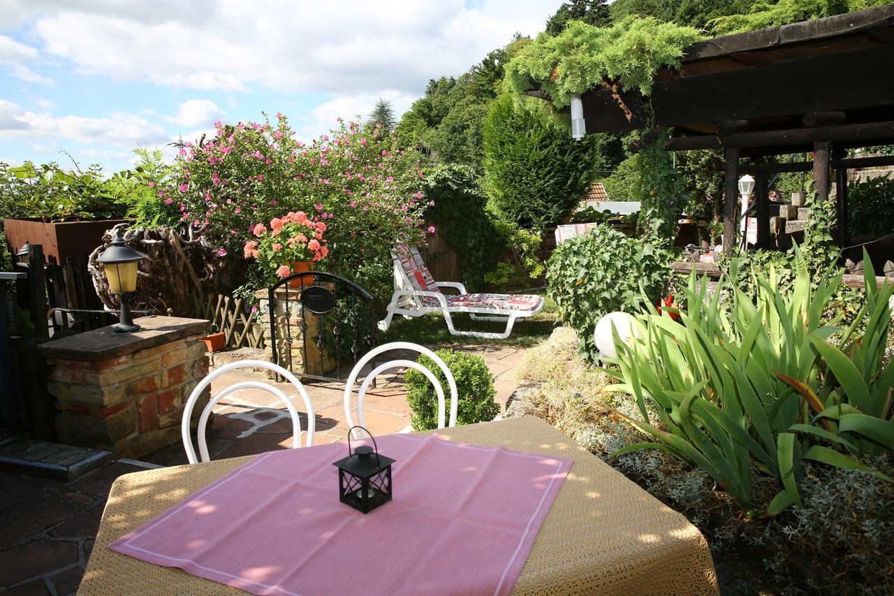 Pension Weinberg Mit Landhaus Nizza Gleisweiler Экстерьер фото